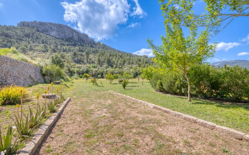 COUNTRY HOUSE IN PROTECTED NATURE PARK – photo 16