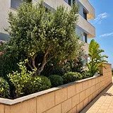 Camp de Mar Residences – First-floor apartment – photo 16