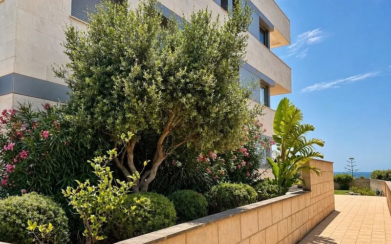 Camp de Mar Residences – Ground-floor Apartment – photo 10
